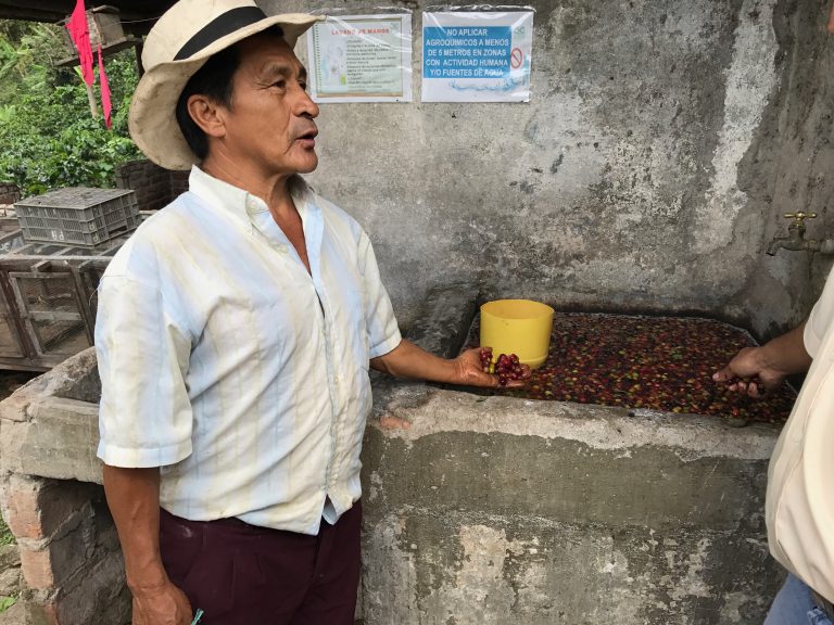 Don Leo explaining coffee production on his farm in Quindio province, Colombia